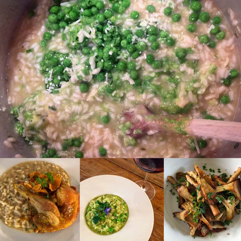 Pea Risotto