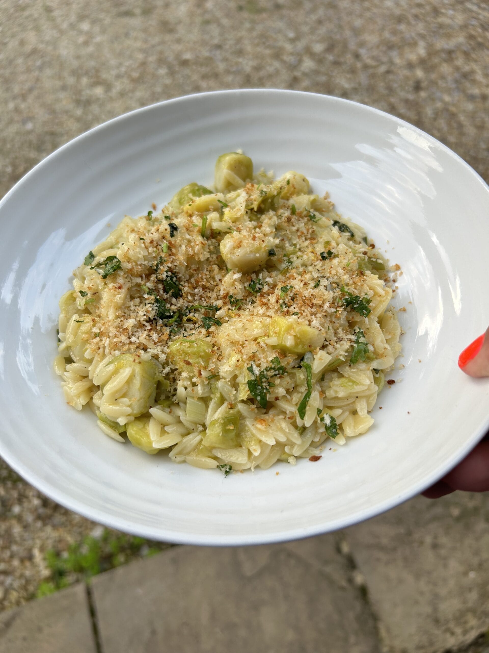Buttery Orzo with Brussels Sprouts & Pangritata